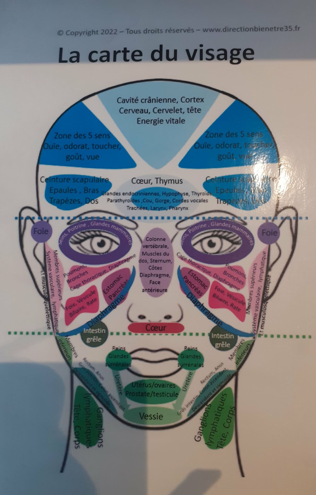 Réflexologie crânio-faciale — Patrick Rivard réflexologue à Vitré